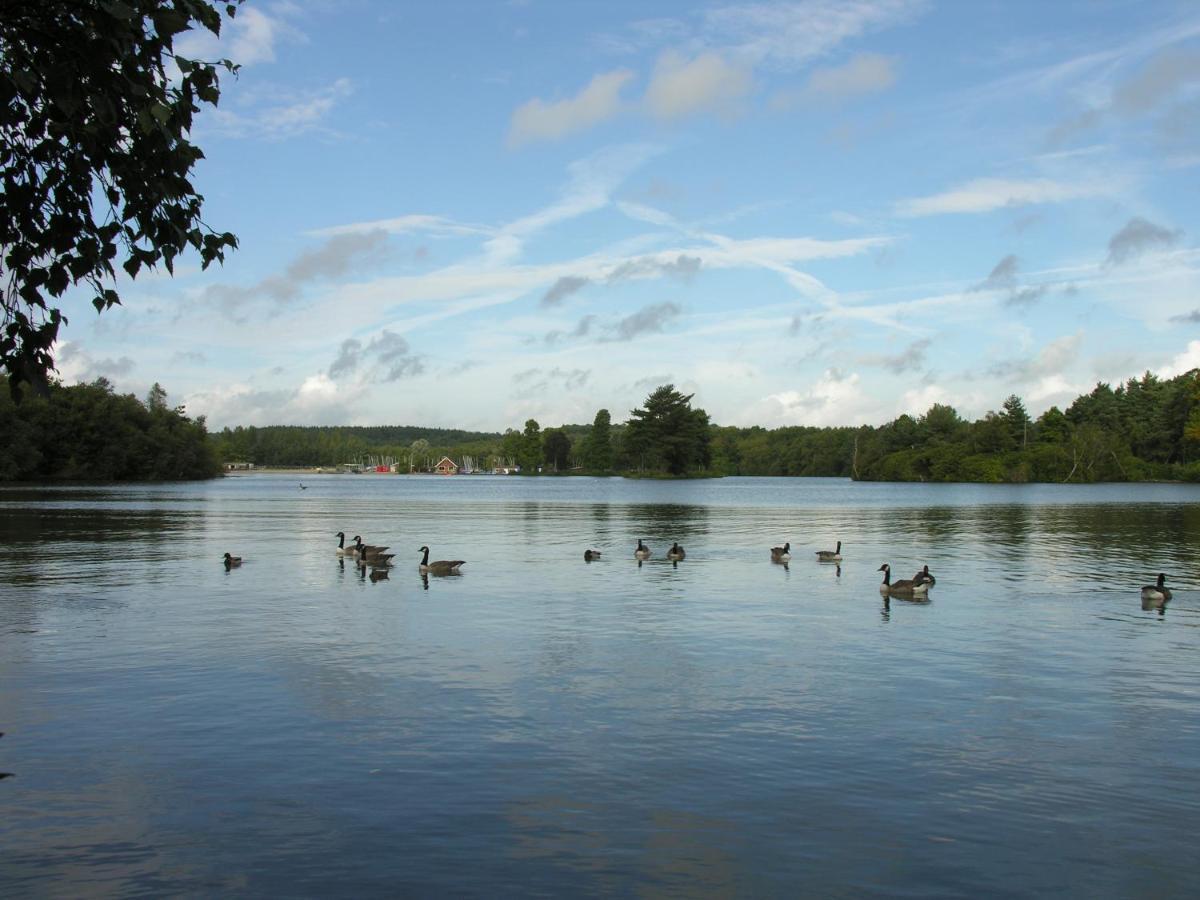 Abacus Bed And Breakfast, Blackwater, Hampshire Camberley Bagian luar foto
